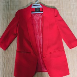 Bộ blazer hiện đại hiệu HT 196456