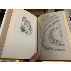 THE ORIGIN OF SPECIES : COMPLETE AND FULLY ILLUSTRATED - Charles Darwin 149029