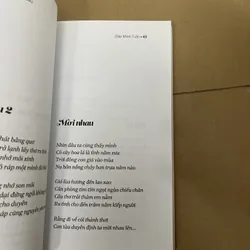 sỏi đá ngàn sau 569518