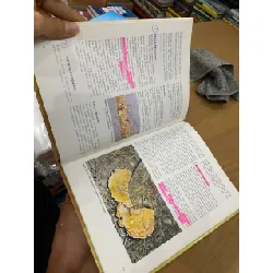 Durian Diseases and Disorders - Lim Tong Kwee 553264