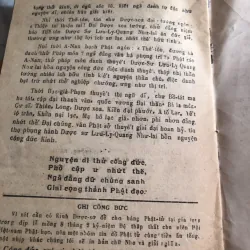 Dược sư bổn nguyện kinh  1033994