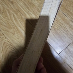 The parrent agency  496830