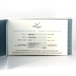 Breguet Type XXI RG 3810BR/92/9ZU PG･RG tự động - Hàng hiệu chính hãng 880848