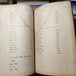 Tử Vi Đẩu Số Thực Hành - Lương Qưới Nhơn 1020034