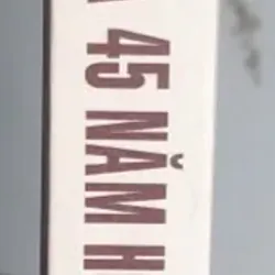 Đức Phật và 45 Năm Hoằng Pháp Độ Sinh - Tập 17 756011