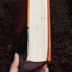 Tiếng chim hót trong bụi mận gai 1004680