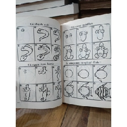 Phương pháp vẽ hình đơn giản: Vẽ hình các loài cá - Thiên Thanh 760605