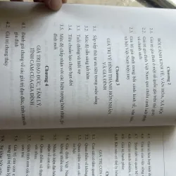 Những giá trị cơ bản của gia đình Việt Nam - Trần Thị Minh Thi 960608