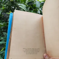 Dưới Lá Cờ Vẻ Vang Của Đảng 706340