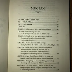 Nghệ thuật Chăm Pa - Nghiên cứu kiến trúc và điêu khắc đền-tháp 642594