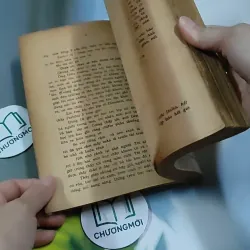 Tâm Hồn Cao Thượng (1989) 713894