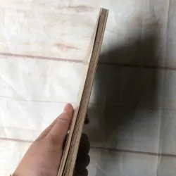 Đôi Mắt Ấy Vẫn Ở Trên Giường - Yamada Amy 800700