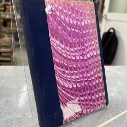 TẤT CẢ HIẾN DÂNG ĐẢNG - NGUYỄN DẬU 798809