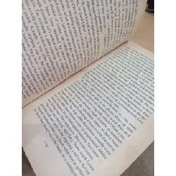 Headlong - Michael Frayn 598283