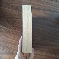 Mối tình đầu của nàng bọ cạp 509936