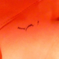 Túi xách Louis Vuitton Damier Saleya MM N51182 - Hàng hiệu Chính hãng 769178