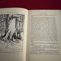 Sách ngoại văn tiếng Anh - Flag of the desert 713370