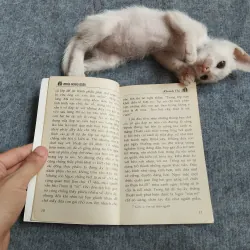 MƯA BÓNG MÂY - KHÁNH CHI 567812