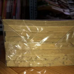 Tình bạn nở hoa  783424