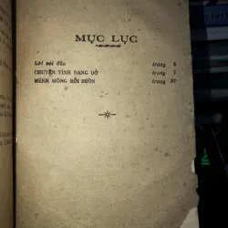 Chuyện tình dang dở - Anatoli Ivanov 796629