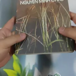 Phong Cách Nghệ Thuật Nguyễn Minh Châu - Tôn Phương Lan 798478