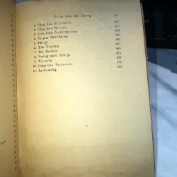 Các nước trên thế giới  1031494