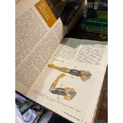 Introduction to Psychology - Ernest R. Hilgard 1010098