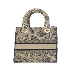 Túi xách nữ D-Light Medium PLAN DE PARIS của Christian Dior 618671