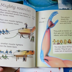 Bộ sách Usborne Beginners Science (10 cuốn bìa mềm) 383911