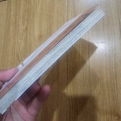 Tsubasa giấc mơ sân cỏ tập 17 454496