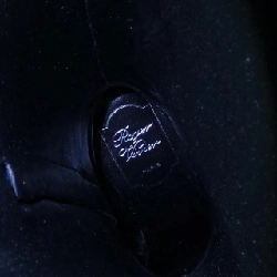 【Khuyến mãi】Giày bốt dài ROGER VIVIER 664522