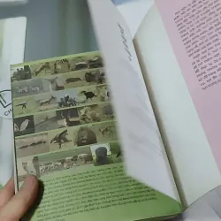 Nhà Có Một Đàn Mèo 2 - Chae Yuri 744718