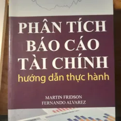 PHÂN TÍCH BÁO CÁO TÀI CHÍNH 1024979