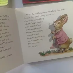 Set Boardbook 993537