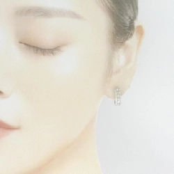 PT900 Bông tai kim cương 0.50CT - Hàng hiệu Chính hãng 877069