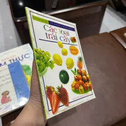 “Các loại trái cây” - K3 1005857