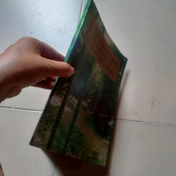 Kỹ thuật truyền thống sử dụng cây Tre trong truyền thống hiện đain 477132