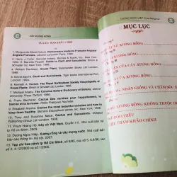 CÂY XƯƠNG RỒNG  1007319