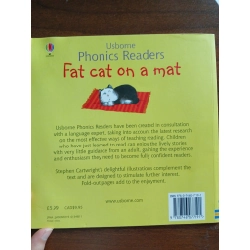 Usborne Phonics Readers: Fat cat on a mat - Phil Roxbee Cox & Stephen Cartwright 543802