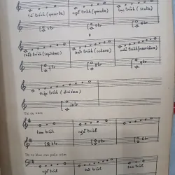 KỸ THUẬT HÒA ÂM DÀNH CHO DƯƠNG CẦM - NGUYỄN QUANG THẾ PHI 933025