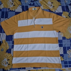 Áo polo hiệu casau, size LL