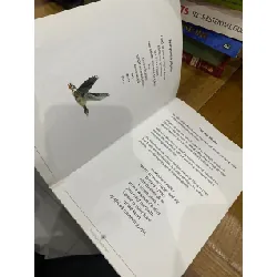 Trusting in Tenderness : Poems for our Time - Peter Millar 560859