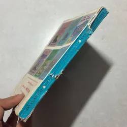 Trang trí vườn cảnh - Đỗ Xuân Hải 799844