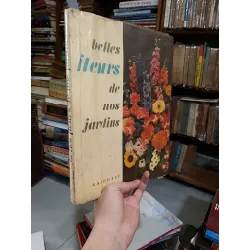 Belles fleurs de nos jardins 708458