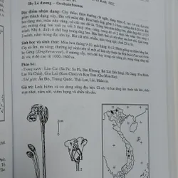 SÁCH ĐỎ VIỆT NAM - PHẦN THỰC VẬT  568462