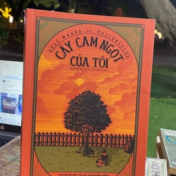 CÂY CAM NGỌT CỦA TÔI - JOSÉ MAURO DE VASCONCELOS 312884