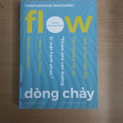 Flow - Dòng chảy | Mihaly Csikszentmihalyi 177746