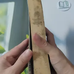 Shadow Woman - Linda Howard 1027569