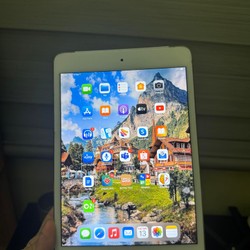 iPad mini 4 đã qua sử dụng 185784