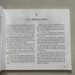 Cẩm nang lập vườn trong thành phố 720795